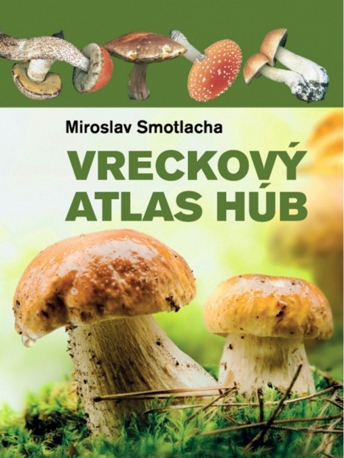 produkt